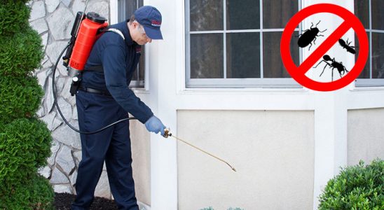 Çanakçı Gümüşkurt İlaçlama böcek ilaçlama ve haşere kontrolü — ilaclama-tr.com
